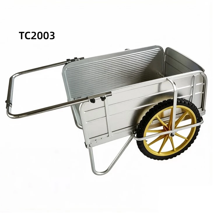 TC2003(001)